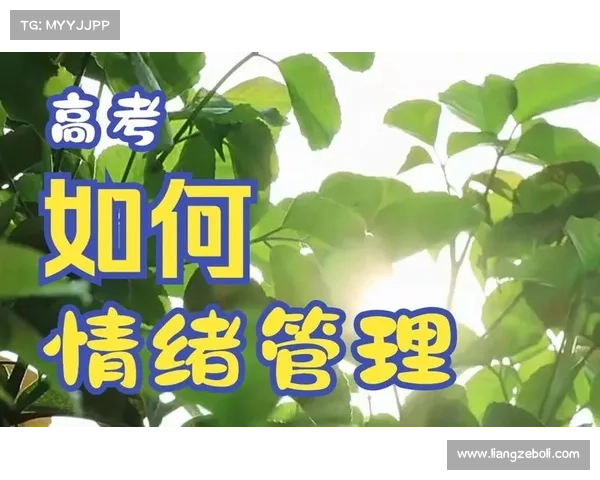 从心态调整到战略布局如何应对顽强敌人挑战并取得胜利