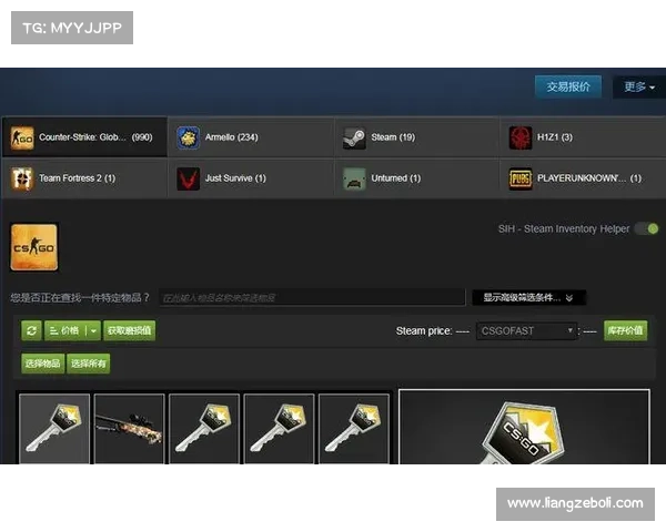 俄罗斯CSGO皮肤交易平台使用全攻略及注意事项详细介绍 俄罗斯CSGO皮肤交易平台使用全攻略及注意事项详细介绍