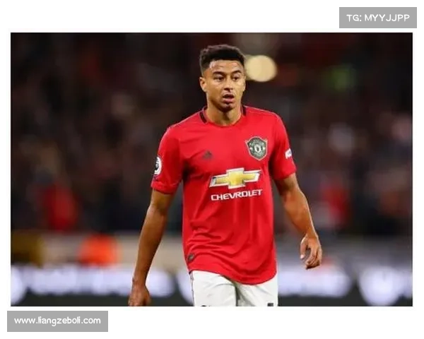 为何林加德常被调侃 专家深度分析其背后的原因与文化现象